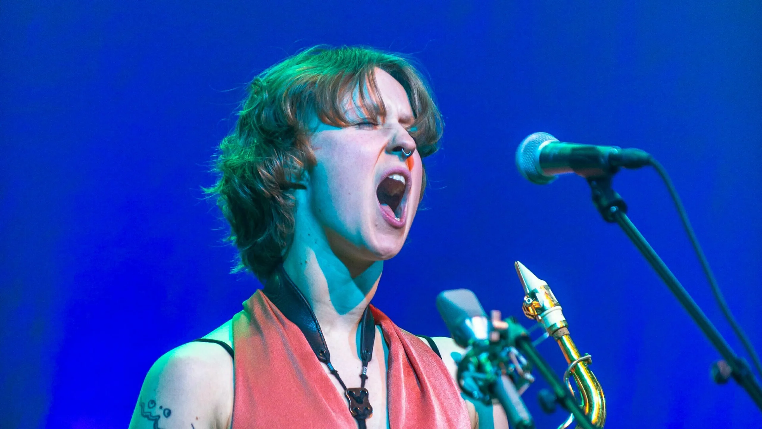 Skingrande signal frå Signe