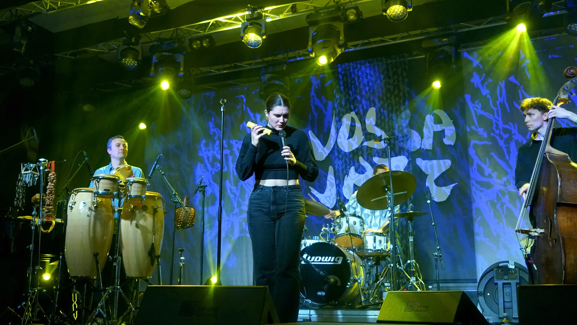 Blid og brilliant bergens-brasiliana